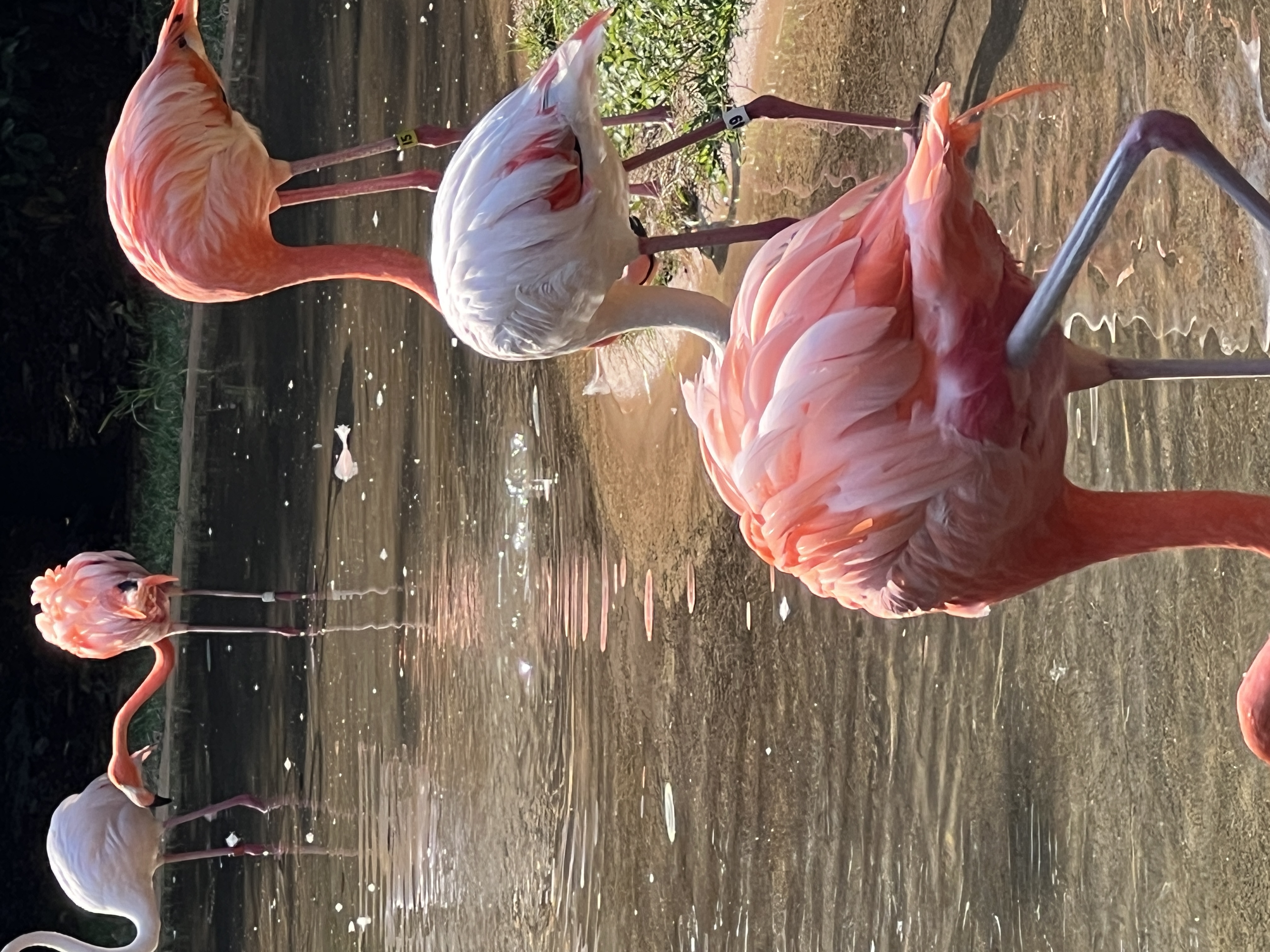 ./2025/11 - Nashville Trip/IMG_7232.JPG